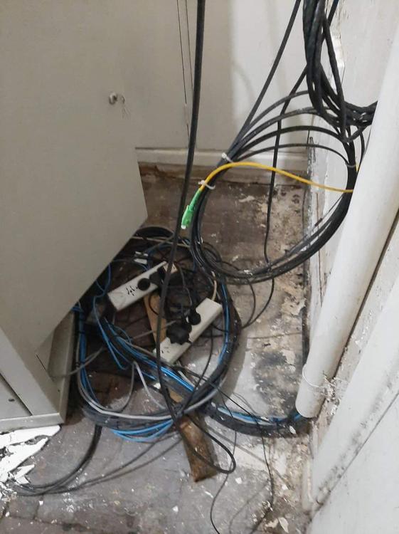 FB_IMG_1649328861360