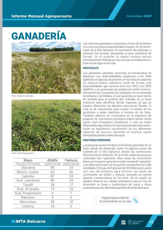 IMA DICIEMBRE  2021 diff (1)_page-0013