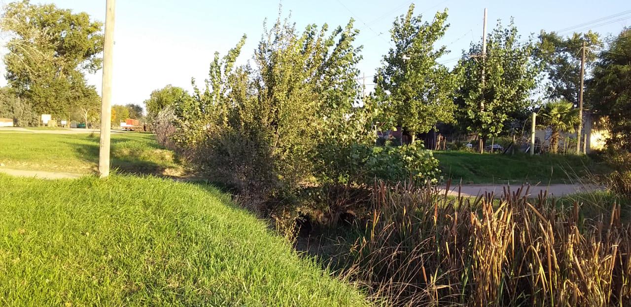 WhatsApp Image 2021-04-06 at 17.59.27