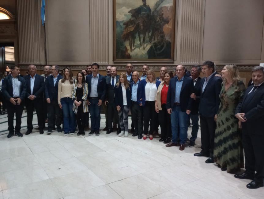 entronizacion de Alfonsin 3