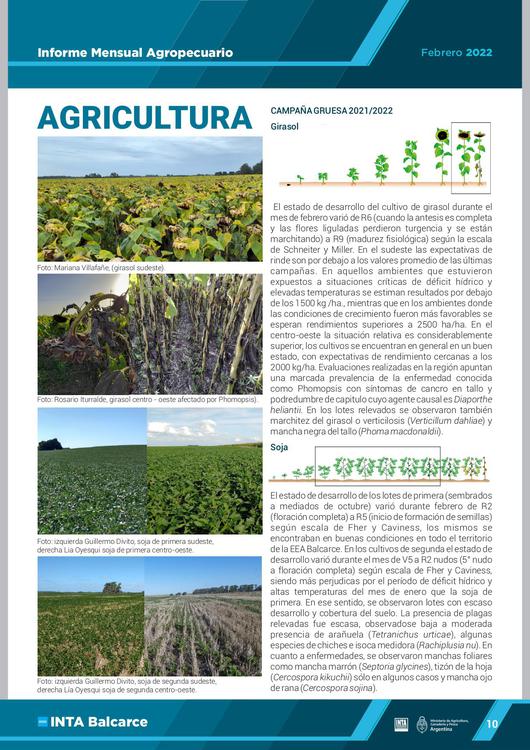 inta_ima_febrero_2022_diff_page-0011