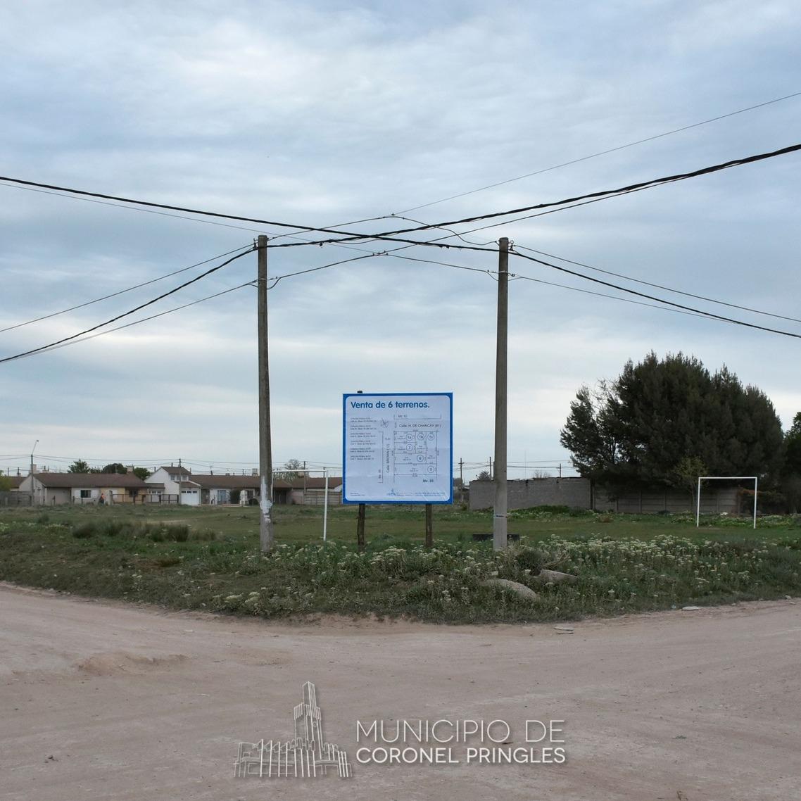 imagen lotes Pringles