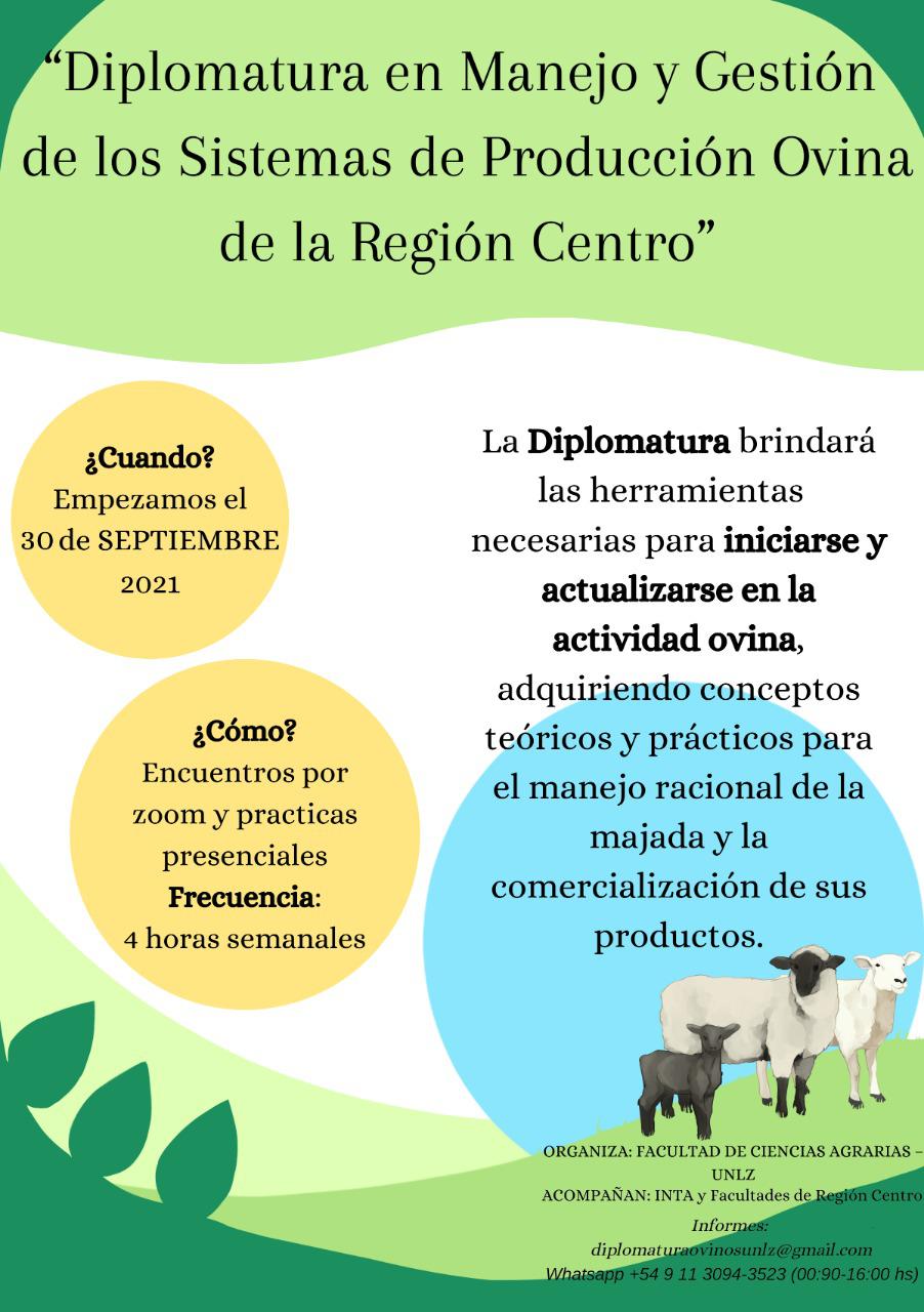 WhatsApp Image 2021-09-06 at 21.31.56