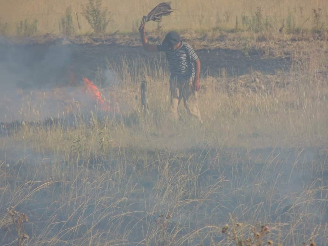 FB_IMG_1677309531021