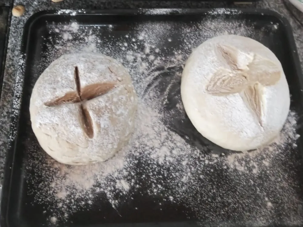 Screenshot_20230905-022242_WhatsApp