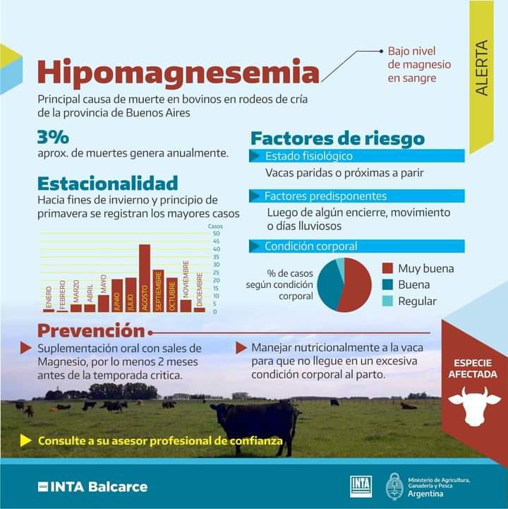 WhatsApp Image 2021-09-09 at 13.52.53 (1)