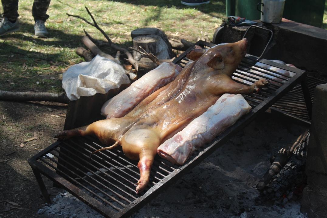 Screenshot_20230312-075643_Photos