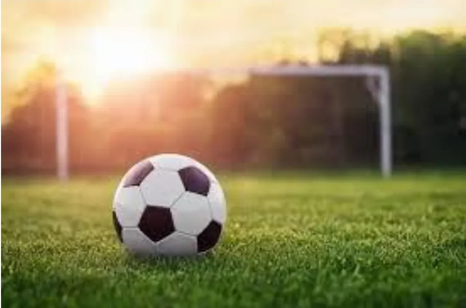 Screenshot_20230730-011107_Microsoft 365 (Office)