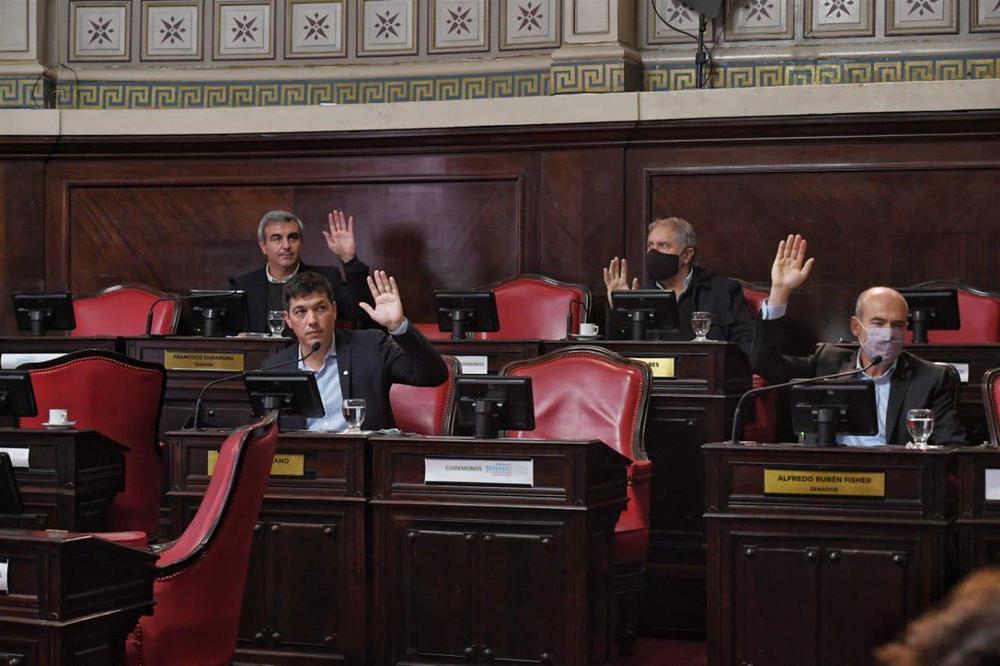 Imagen del Senado bonaerense