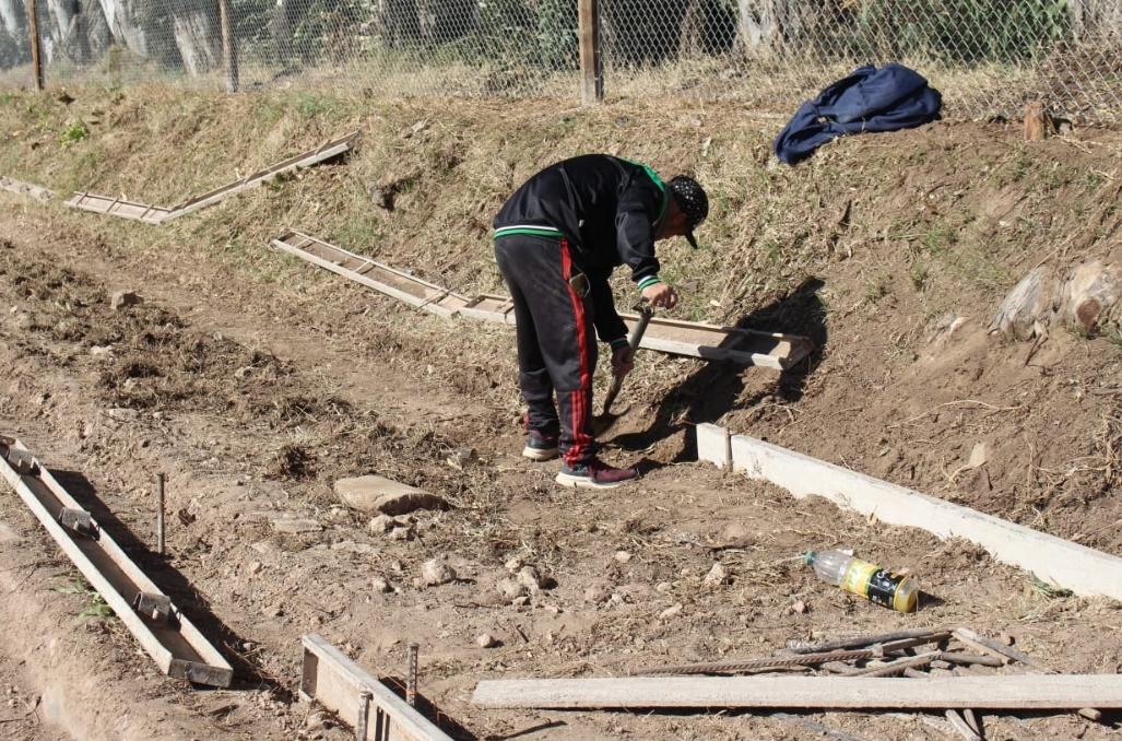 Screenshot_20220831-075722_WhatsApp