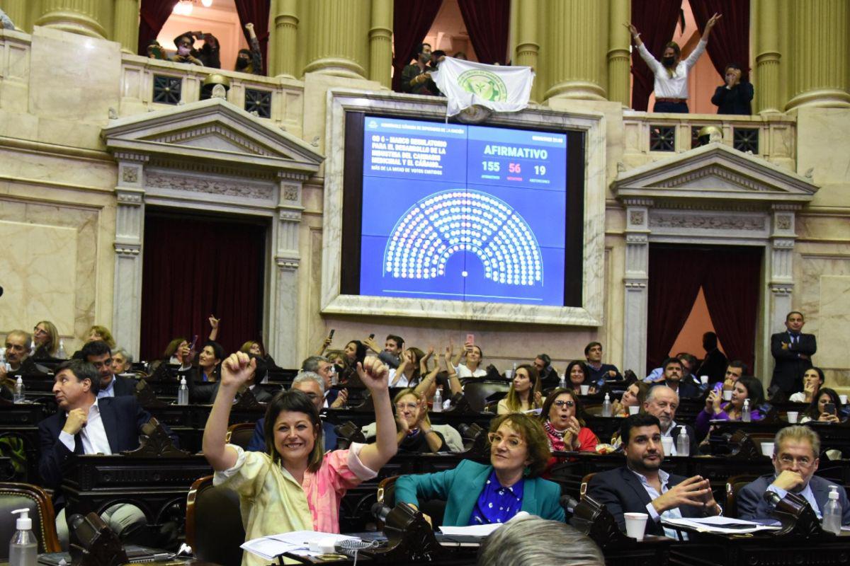 Imagen ley-de-cannabis-sesion-diputados