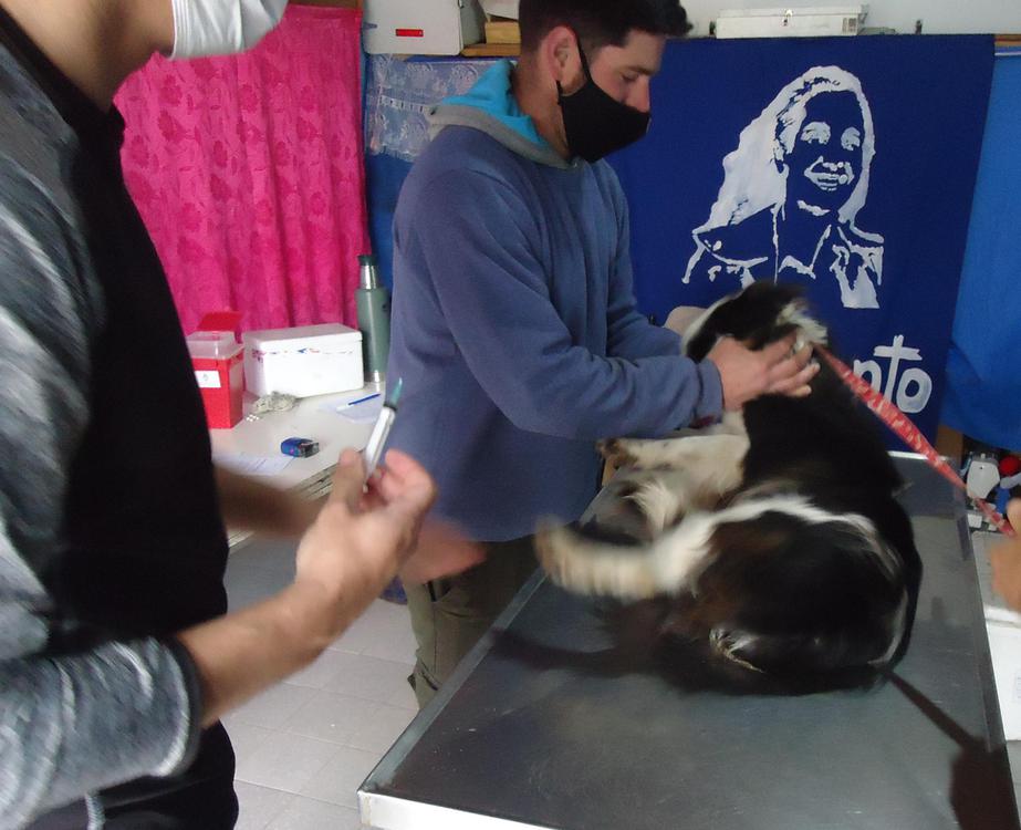 InShot_20210610_072447556