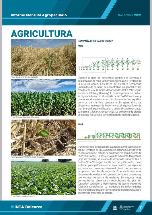 IMA DICIEMBRE  2021 diff (1)_page-0012