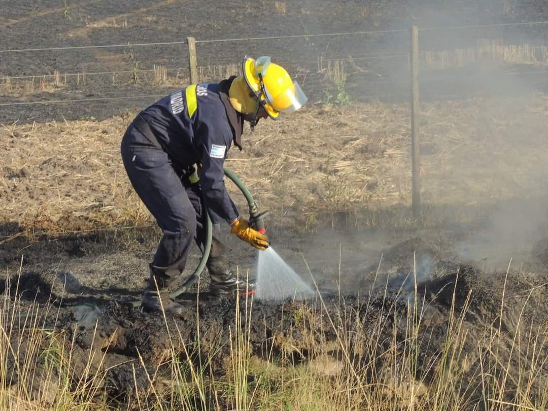 FB_IMG_1677309545909