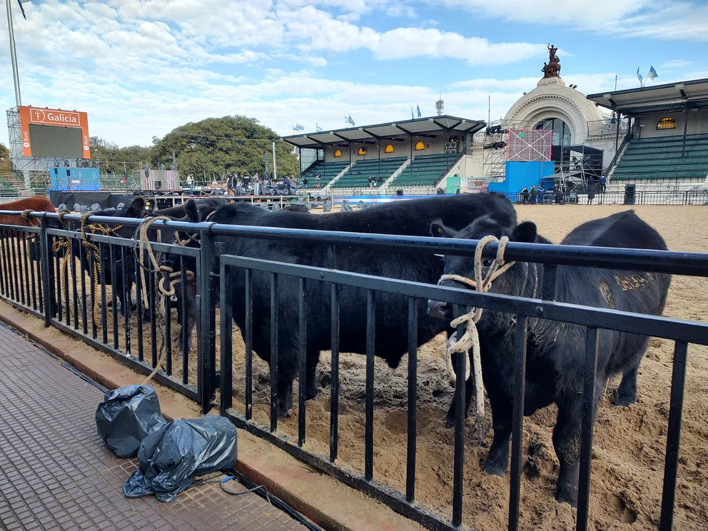 6JGVYSF3EZFGRMHYV5UTHQH53U