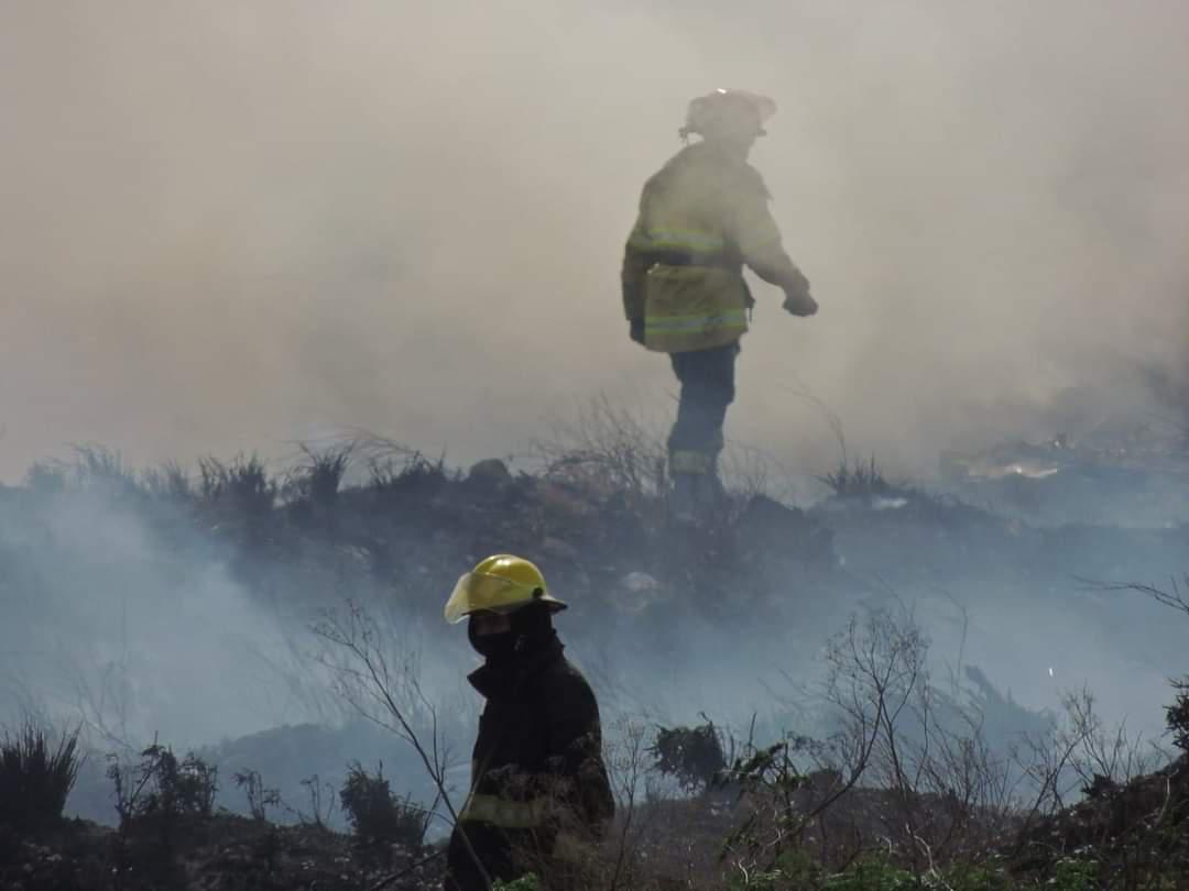 FB_IMG_1663415408883