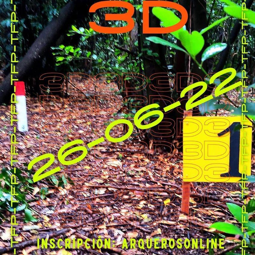 imagen torneo arqueros