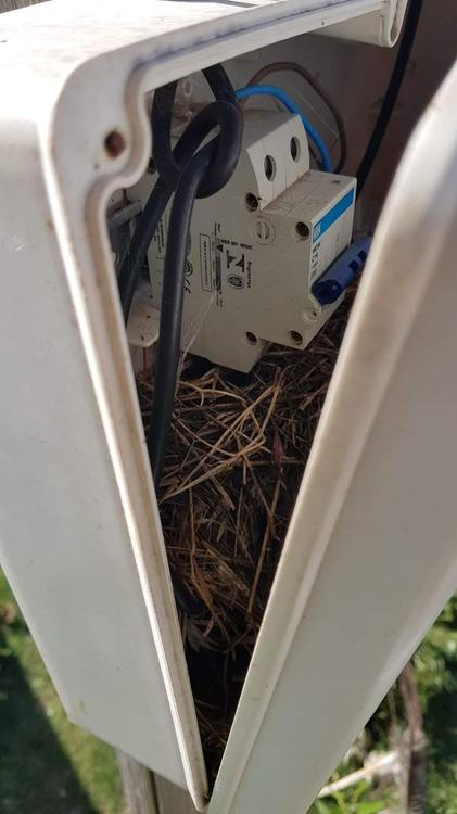 FB_IMG_1649328881559