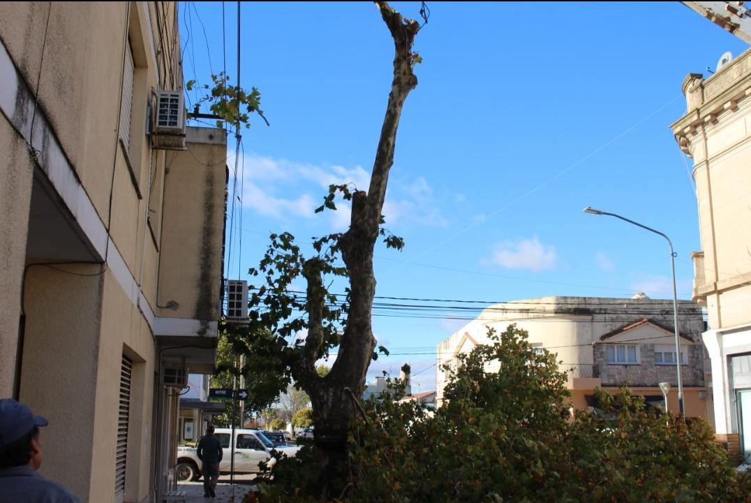 Screenshot_20230509-065214_WhatsApp