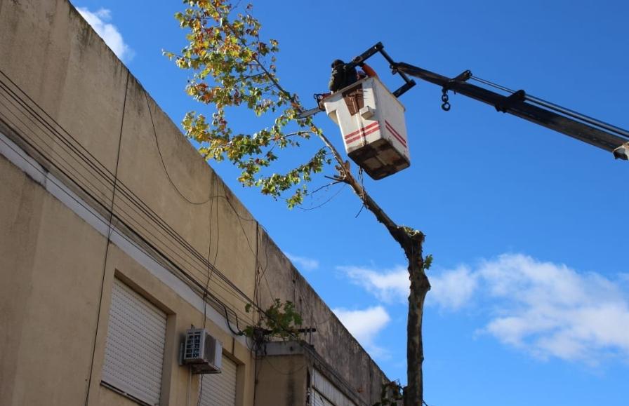 Screenshot_20230509-065156_WhatsApp