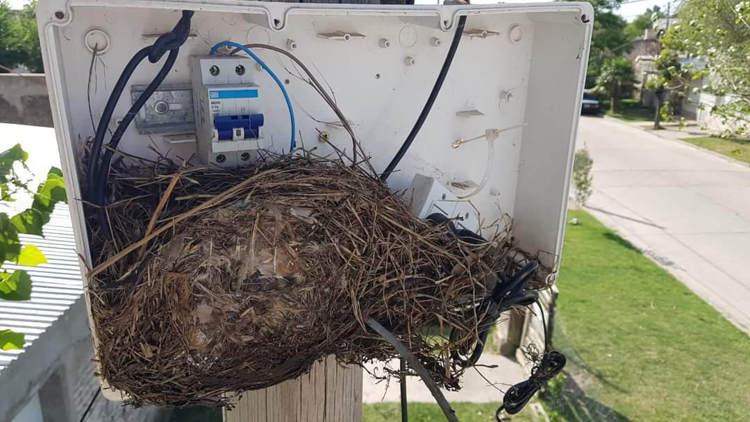 FB_IMG_1649328884669