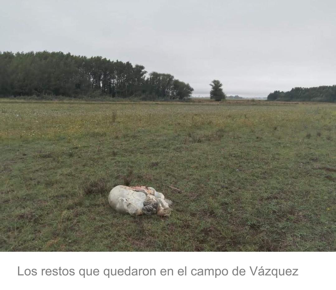 Screenshot_20230204-065255_Facebook