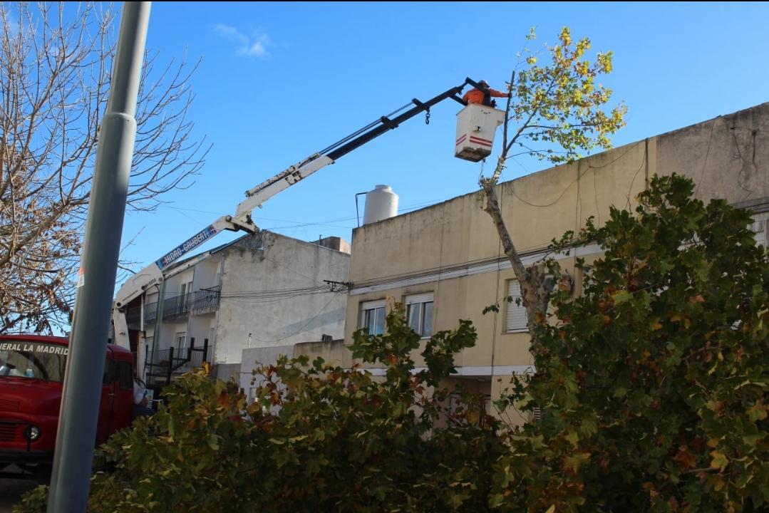 Screenshot_20230509-065144_WhatsApp