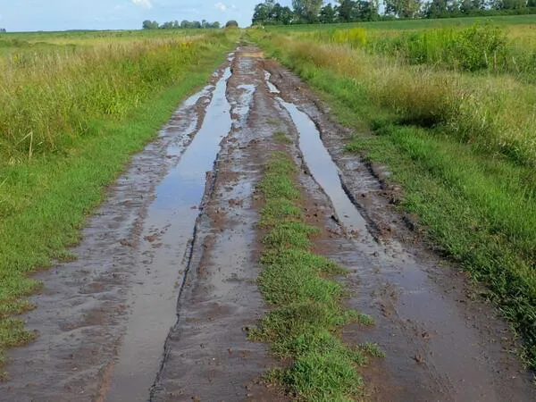 camino