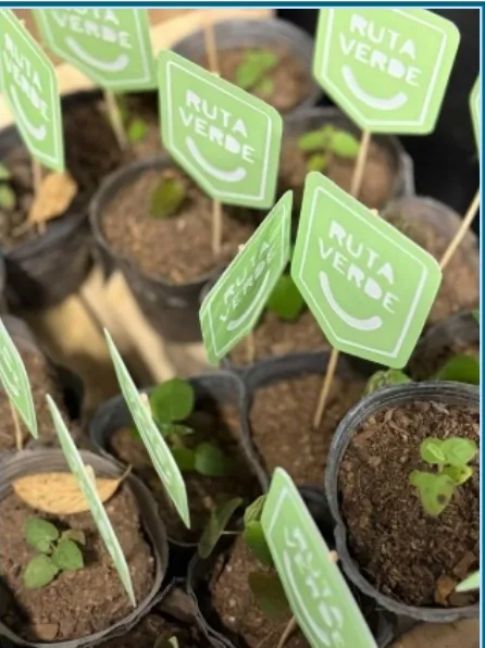 Screenshot_20260118_015758_Docs