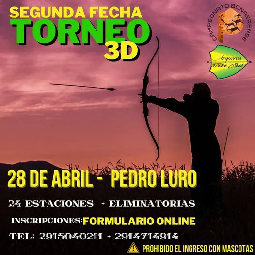 imagen 2 fecha torneo 3D