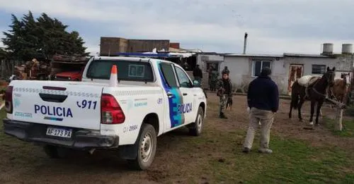 imagen desmantelan red peleas de perros