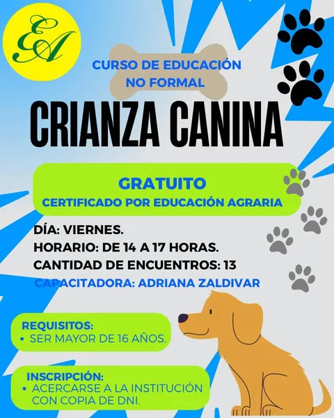 535020037_1125858572972495_5928628395466122746_n