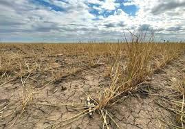 imagen emergencia agropecuaria (1)