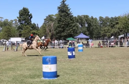 Screenshot_20250216-171257_WhatsApp