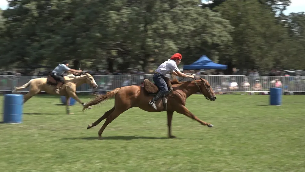 Clip0031.MXF.13_04_40_16.Imagen fija001