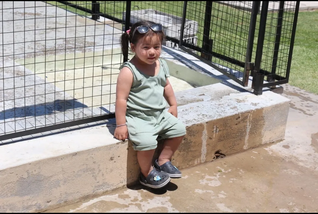 Screenshot_20241214-064941_WhatsApp