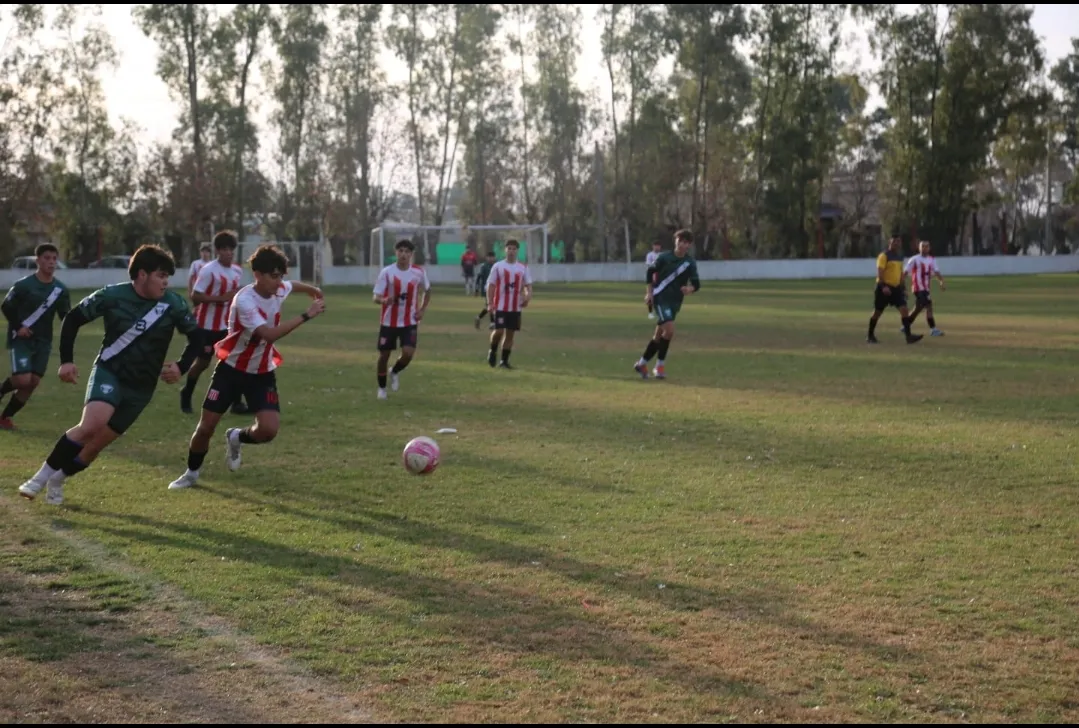 Screenshot_20250706-014949_WhatsApp