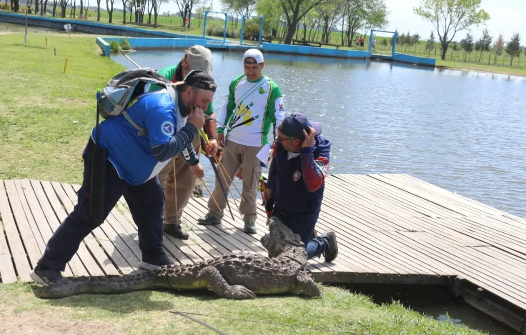 Screenshot_20241014-061813_WhatsApp