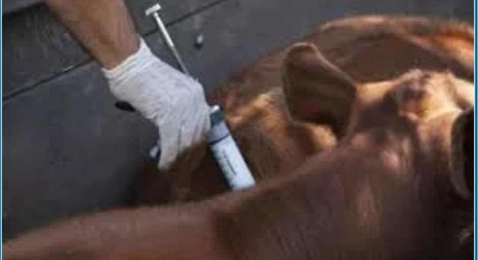 Screenshot_20260317_063457_Docs