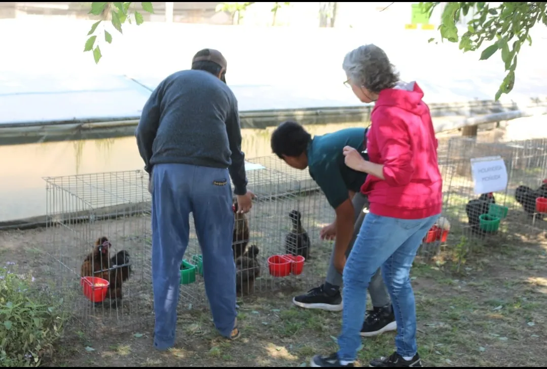 Screenshot_20241115-063019_WhatsApp