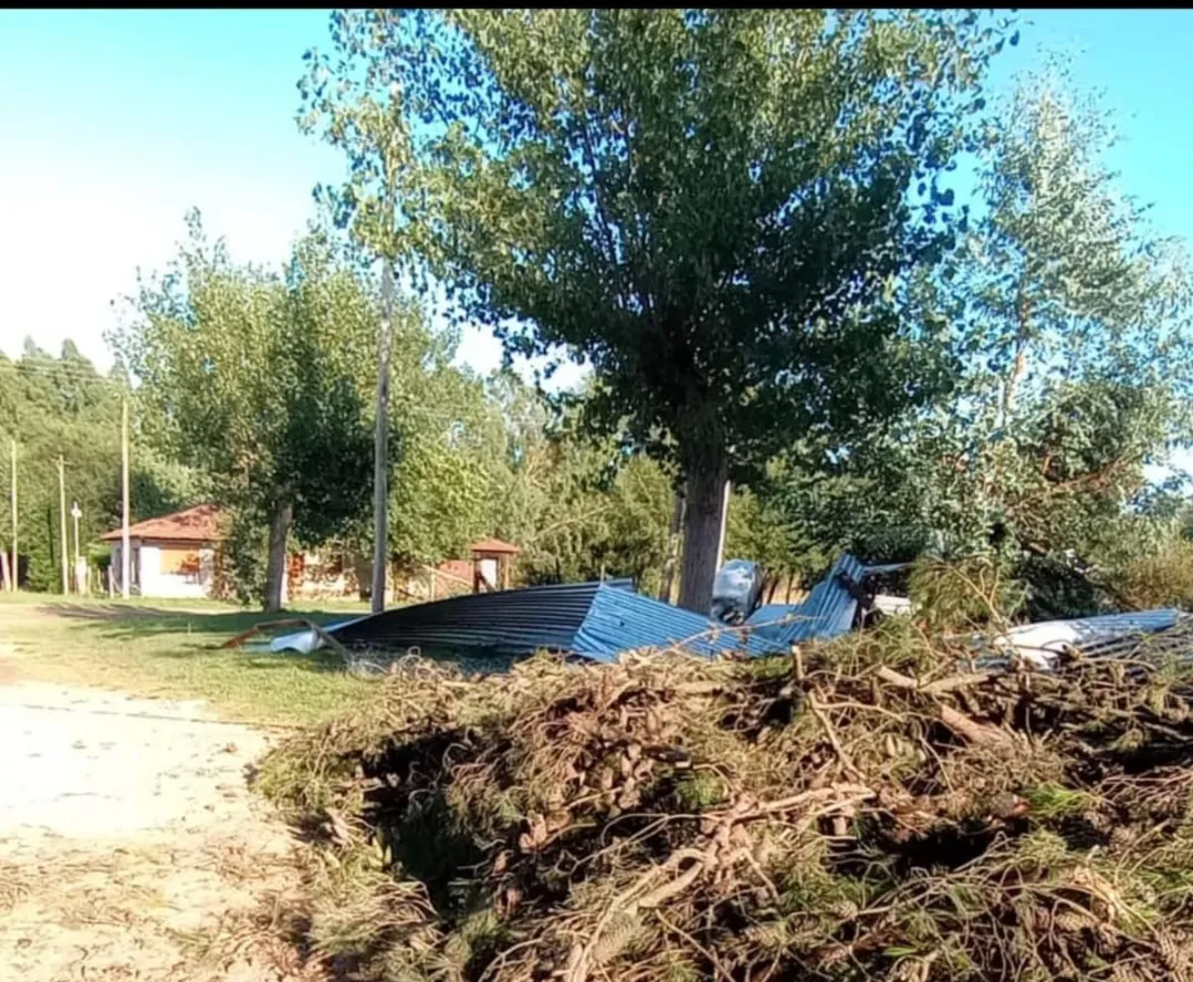 Screenshot_20250203-012300_WhatsApp