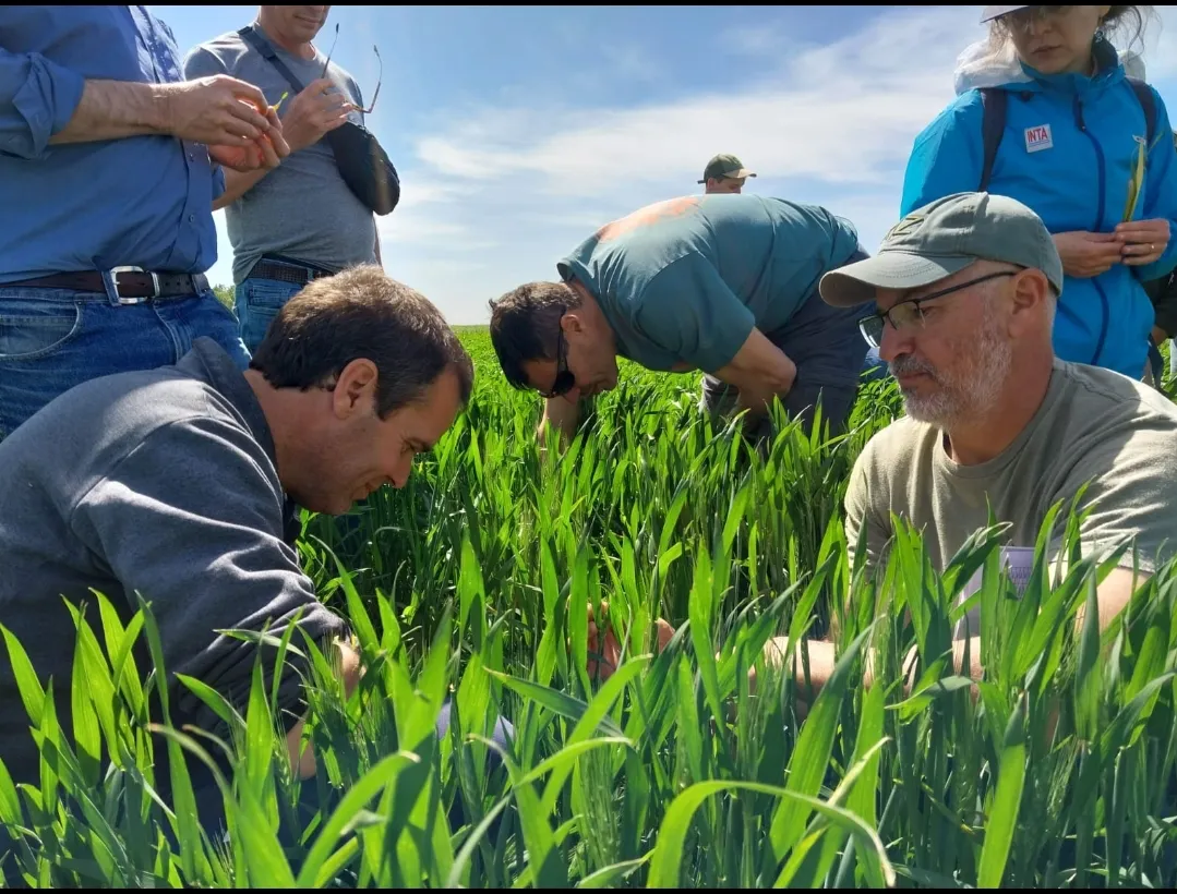 Screenshot_20251017-044615_WhatsApp