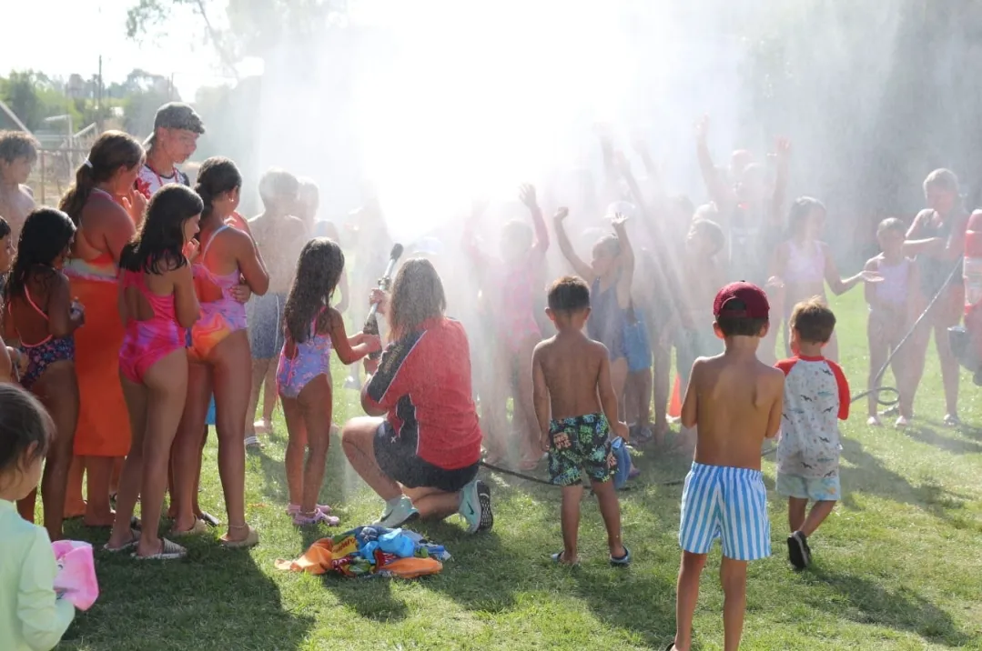 Screenshot_20260129_074819_WhatsApp