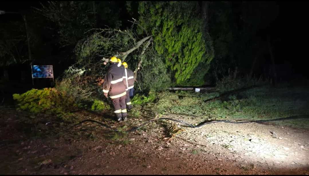 Screenshot_20250203-012104_WhatsApp