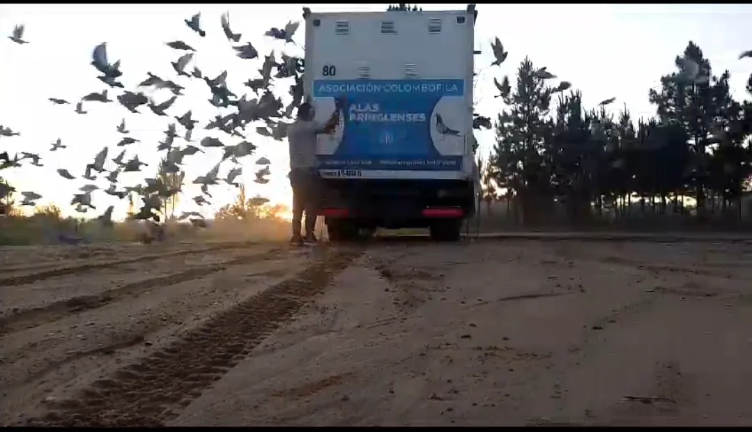 Screenshot_20241105-100332_WhatsApp