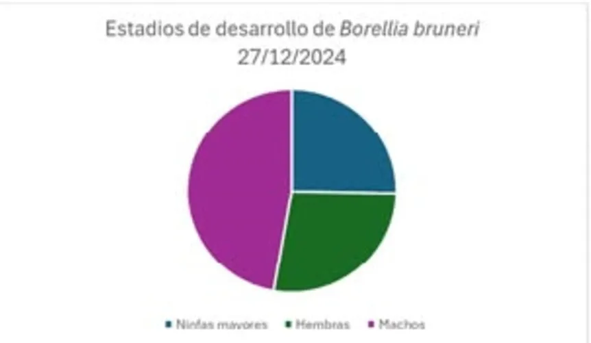 Screenshot_20250123-065343_M365 Copilot