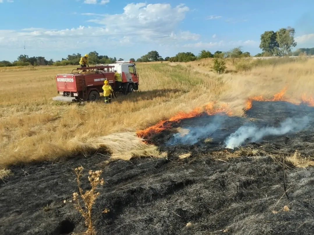 Screenshot_20260211_070634_Facebook