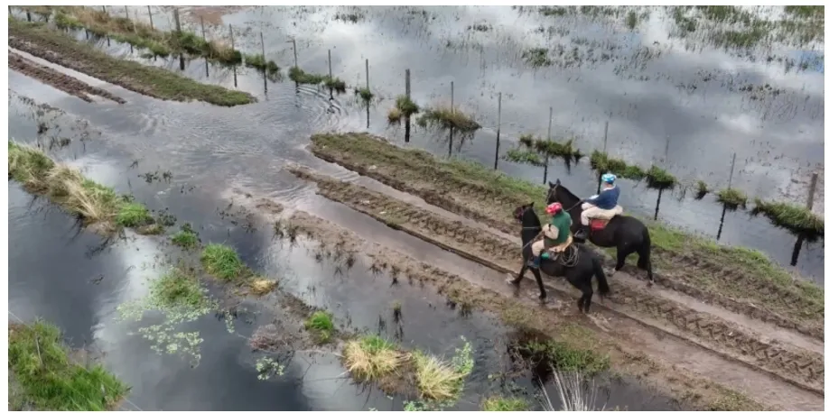 Screenshot_20250720-060249_M365 Copilot