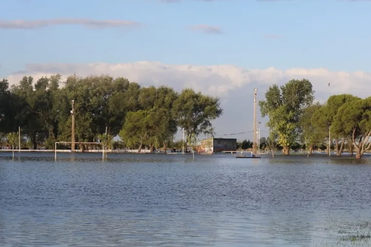 Screenshot_20250309-070511_WhatsApp