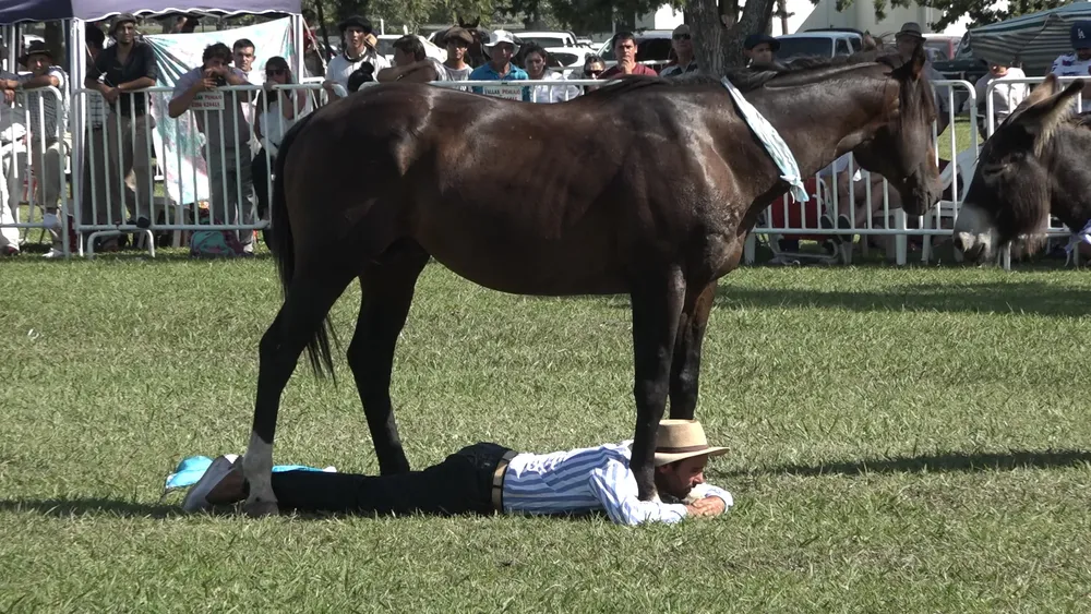 Clip0062.MXF.13_14_39_03.Imagen fija001